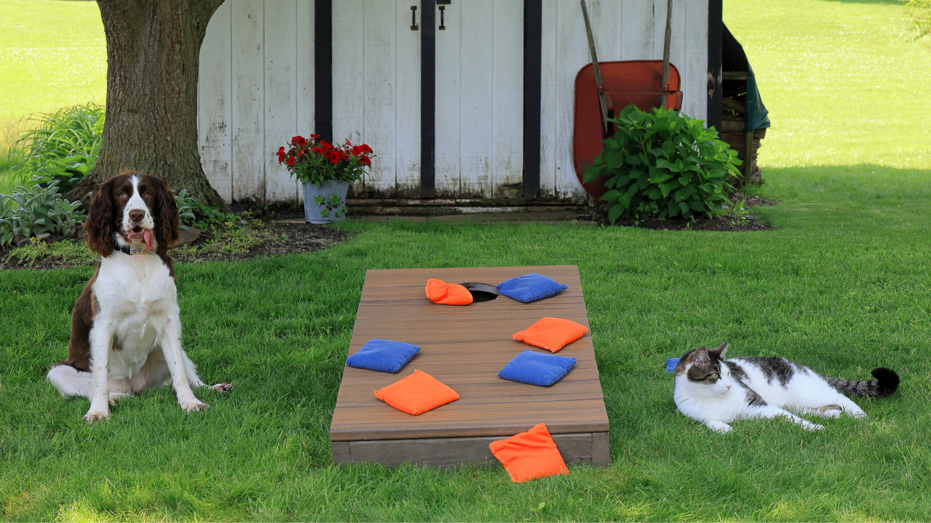 Top 10 Games for BBQs: The Ultimate Backyard Fun Guide